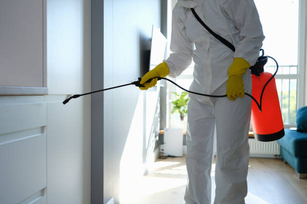 Best Office Mold Removal Services  in Williamson, WV