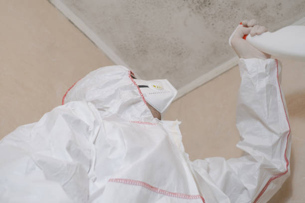 Best Mold Cleaning Services  in Williamson, WV